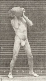 Plate 317 Lifting and heaving a 75 lb. rock — figure reference